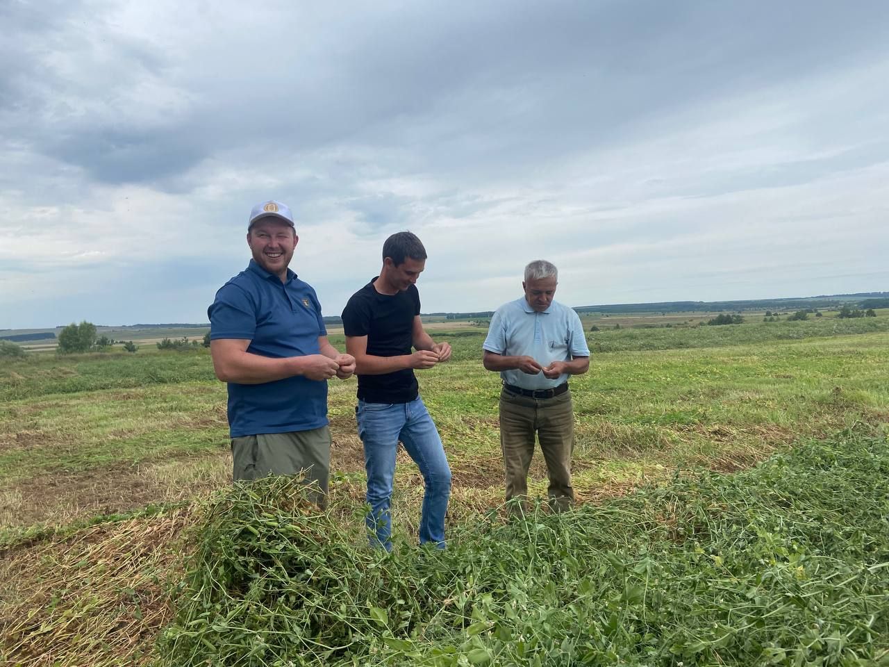 В Менделеевском районе началась уборочная кампания