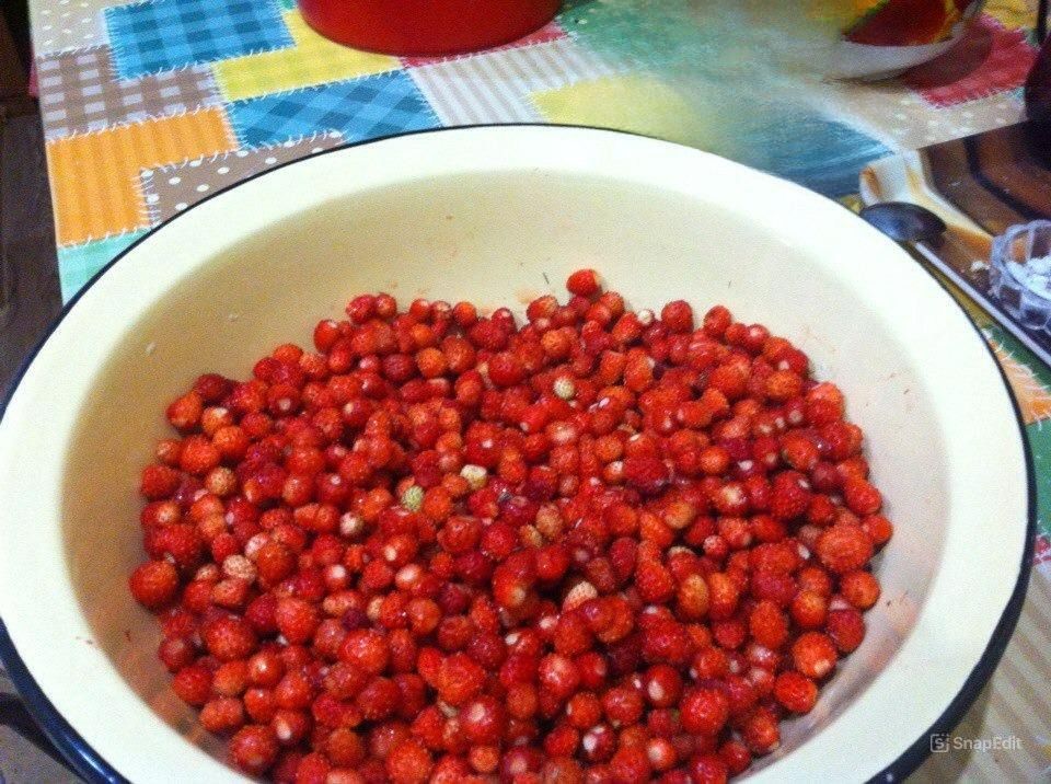Как вкусно съесть землянику: лучшие идеи к Дню земляники