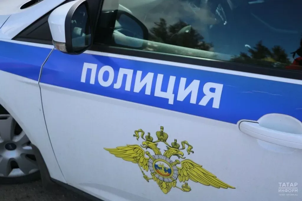 В Мензелинске 11-летняя девочка убила брата и ранила бабушку ножом