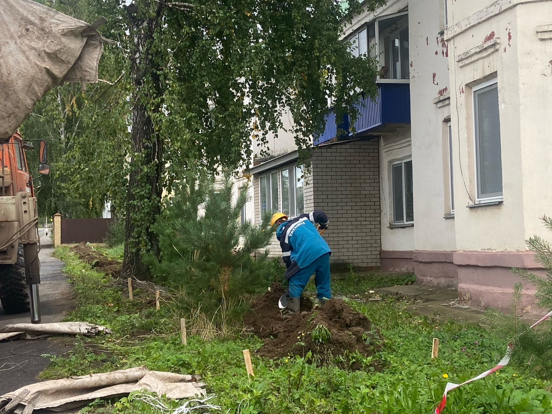 В Менделеевске идёт посадка деревьев