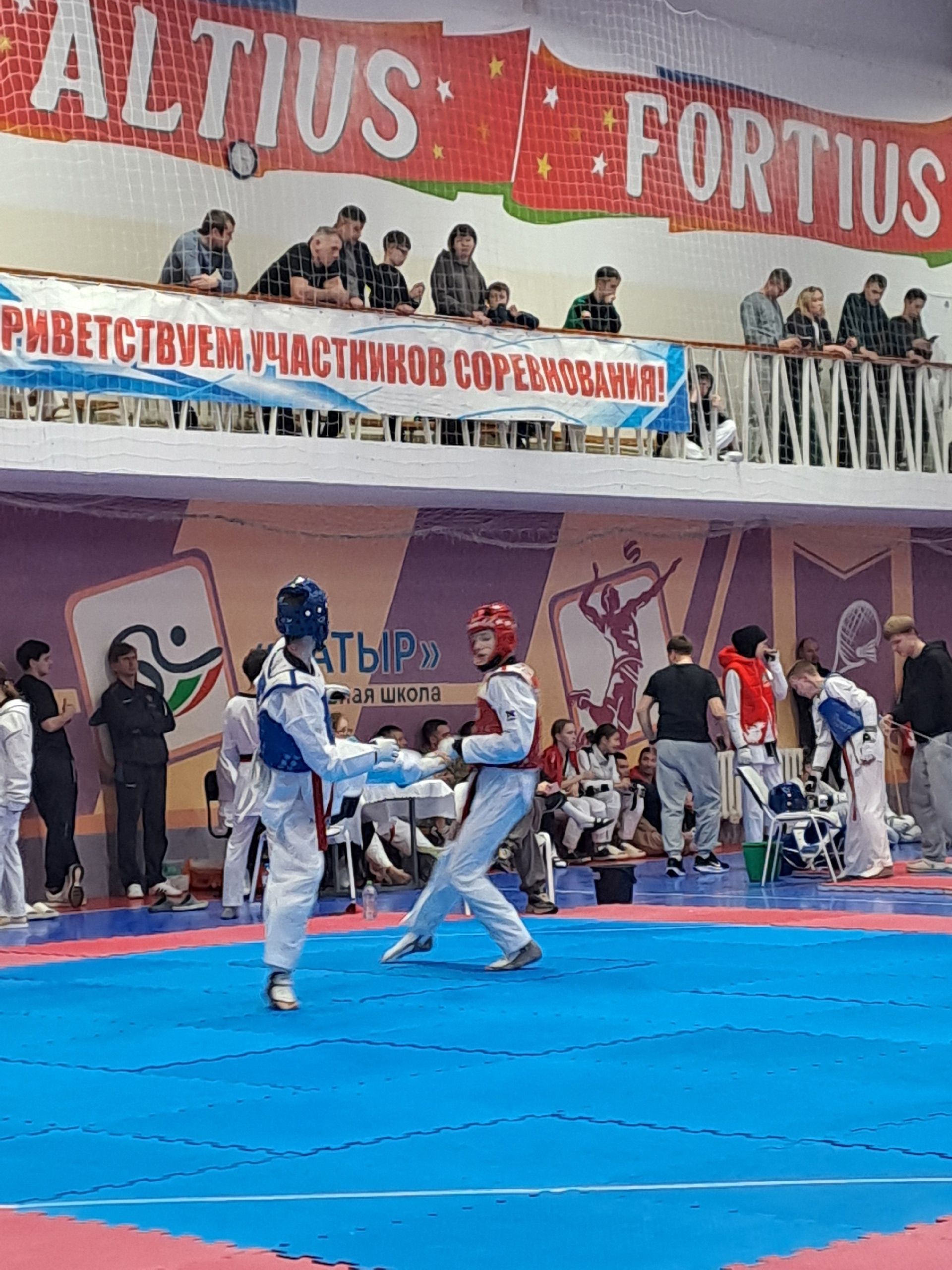 Юные спортсмены встретились в Менделеевске на чемпионате Татарстана по тхэквондо