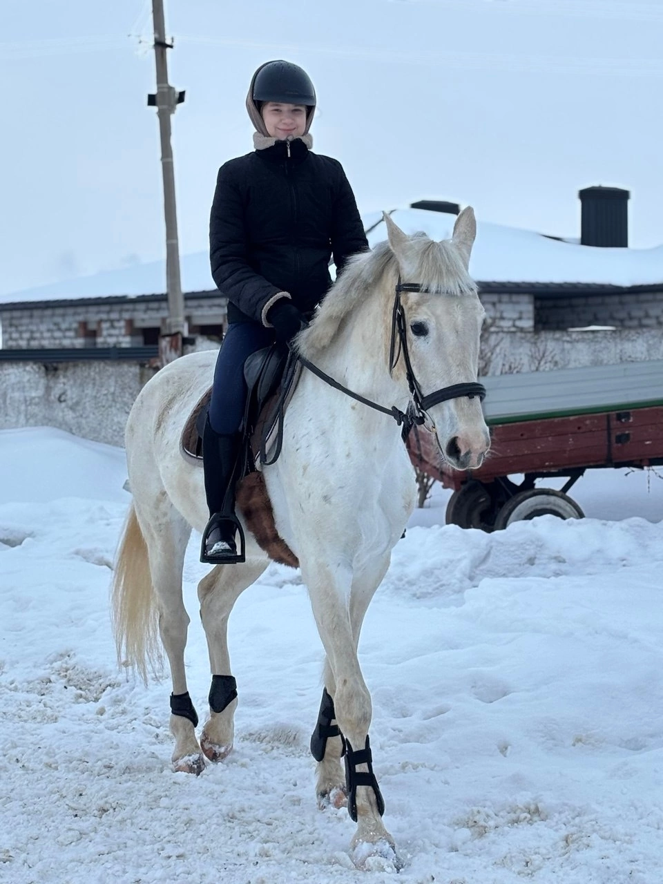 Год Лошади: начните в седле