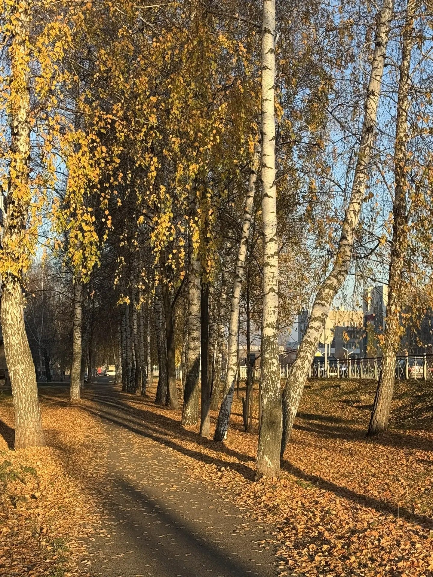 Суббота порадует Менделеевск ясной погодой до +8°C