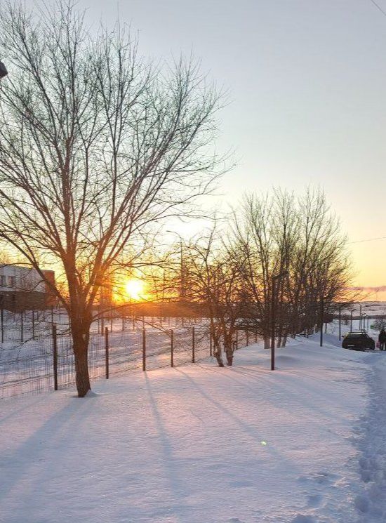Жителей Менделеевска предупреждают о тумане и гололедице 19 февраля