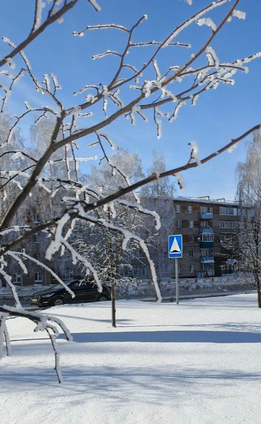 21 февраля в Менделеевске ожидаются метель и порывистый ветер