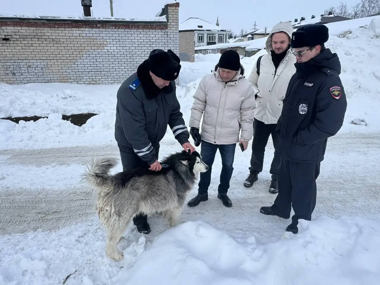 В Менделеевске прошел рейд по безнадзорным животным: хозяевам напомнили о крупных штрафах