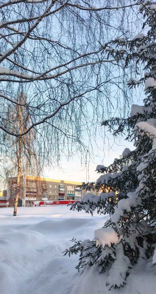 7 февраля жителей Менделеевского района ожидает снежная и ветреная погода