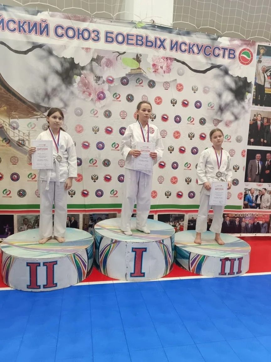 Менделеевские кобудоисты завоевали 39 медалей на чемпионате Татарстана