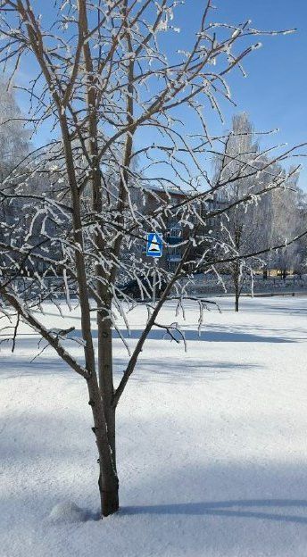 Похолодание до -22 ожидается в Татарстане к концу недели