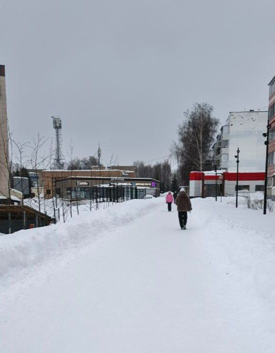 В Менделеевске 6 марта ожидается морозный и пасмурный день