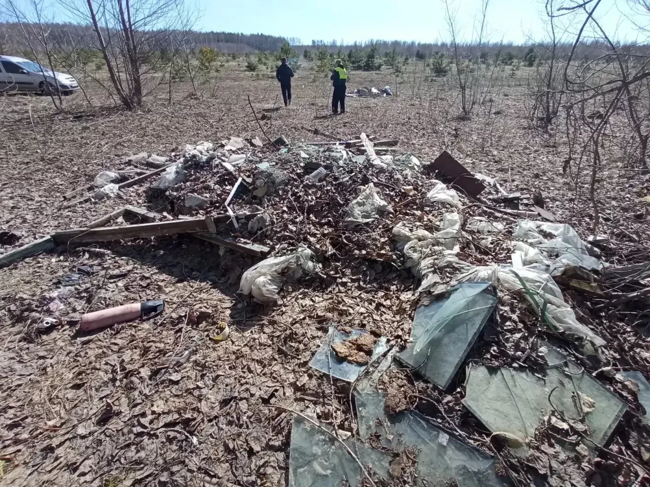 В Менделеевском районе в ходе проверки придорожных территорий выявили свалки мусора