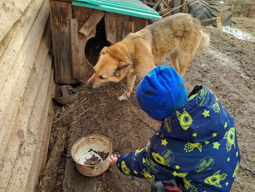 В дошкольной группе Псеевской школы прошла акция «День добрых дел» в защиту животных