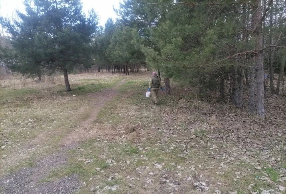 В Менделеевском районе провели обработку парков и скверов от клещей и комаров