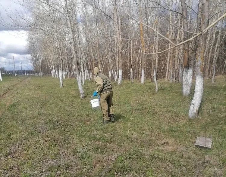 В Менделеевском районе провели обработку парков и скверов от клещей и комаров