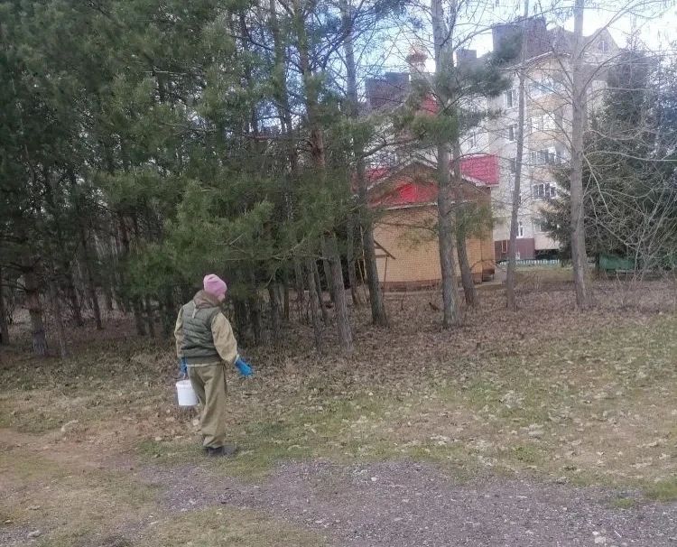 В Менделеевском районе провели обработку парков и скверов от клещей и комаров