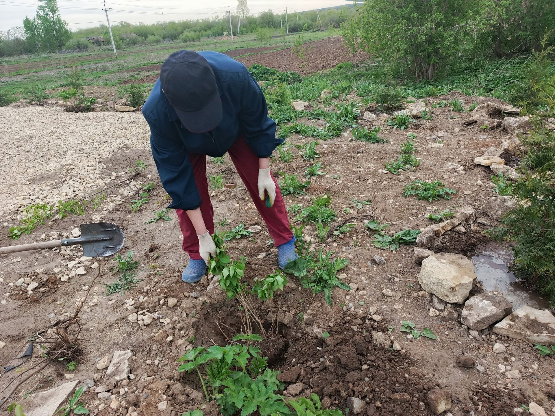 Жители села Тихоново Менделеевского района очистили родник «Неупиваемая чаша» и заложили сад