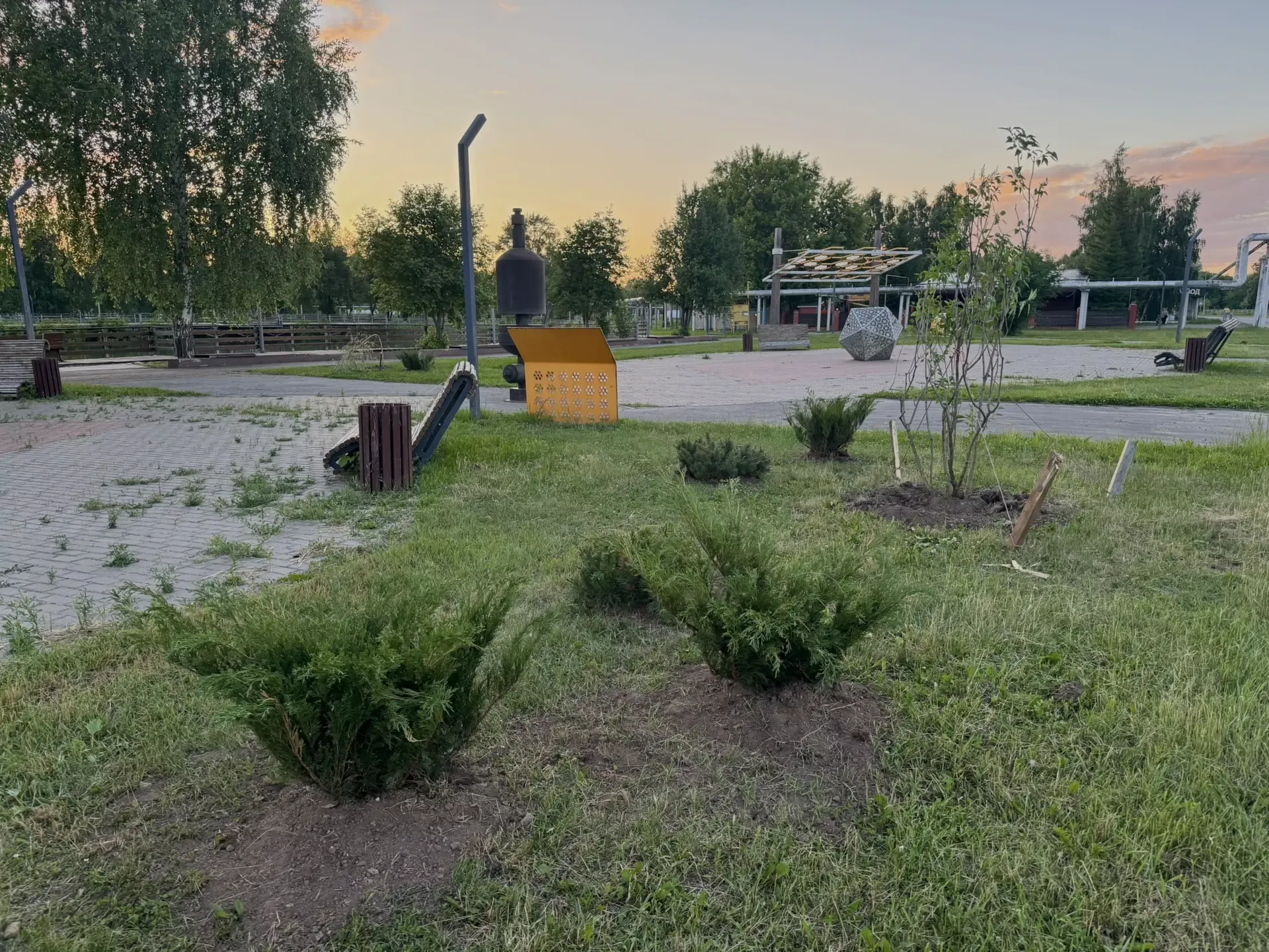 В Менделеевске высадят более 50 саженцев можжевельника, сосны, сирени и рябины