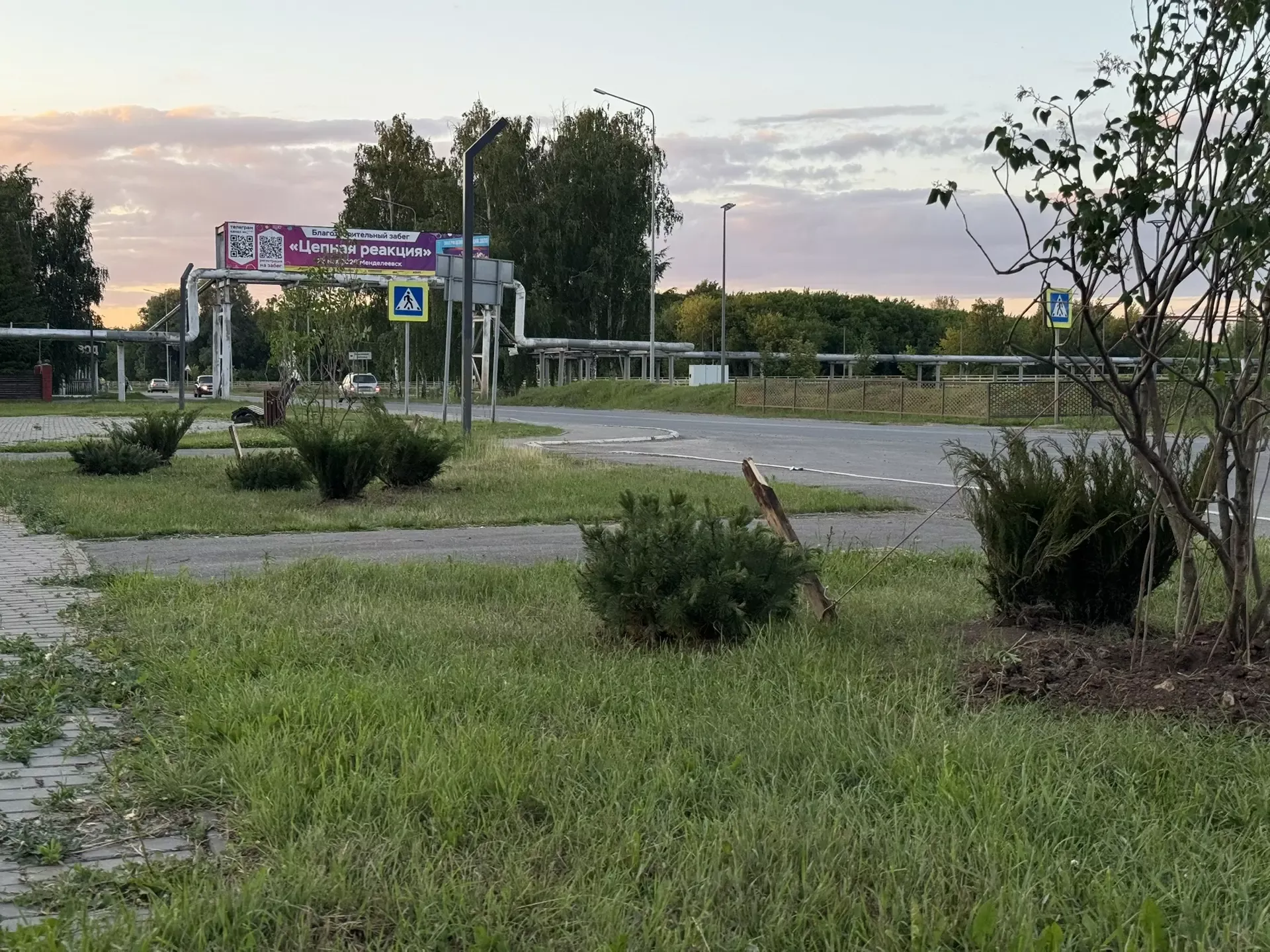 В Менделеевске высадят более 50 саженцев можжевельника, сосны, сирени и рябины