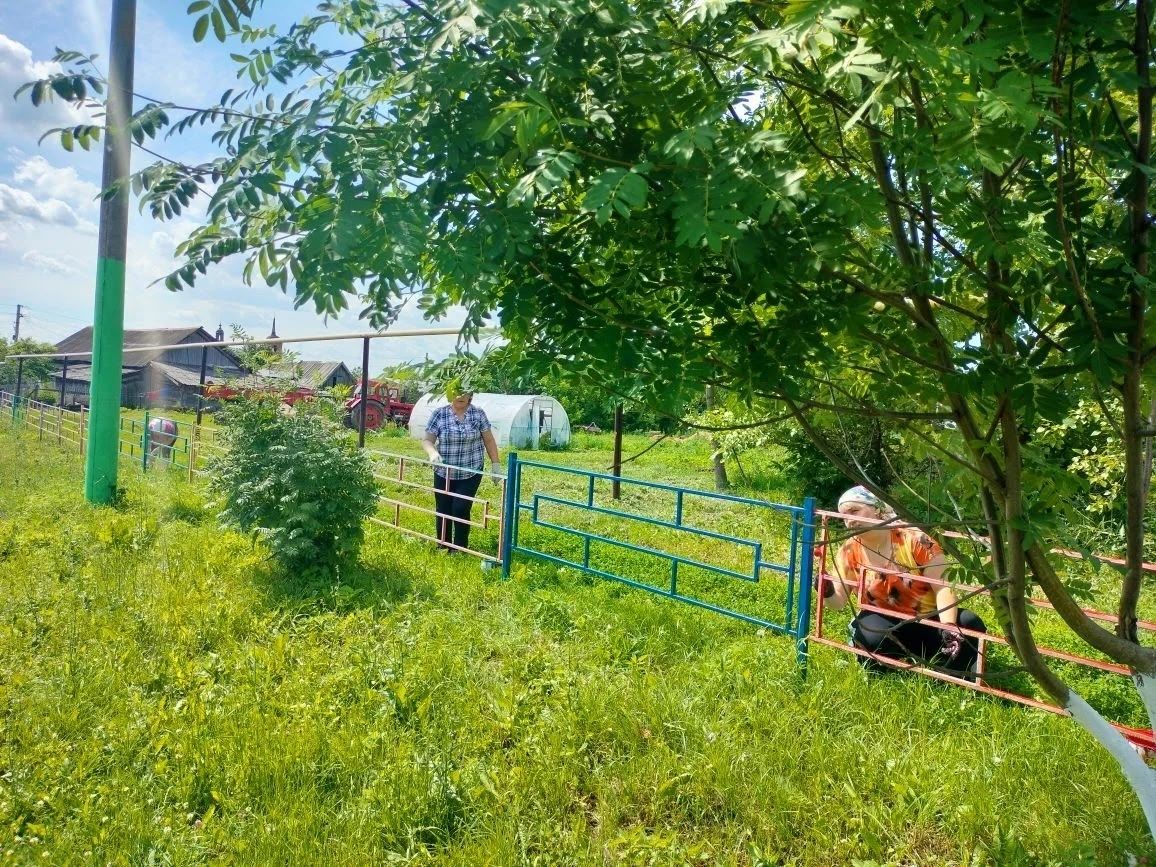В селе Татарские Челны сотрудники бюджетных организаций покрасили парк в ходе средника