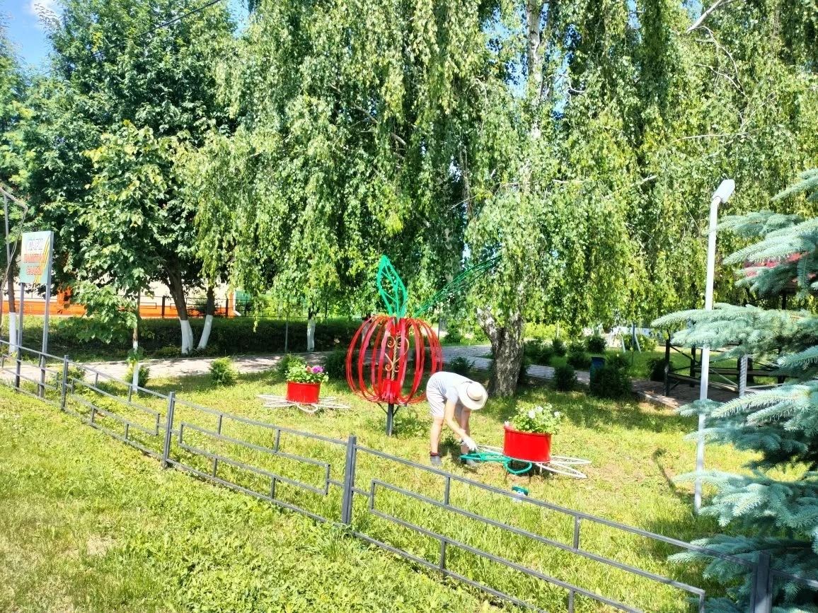 В селе Татарские Челны сотрудники бюджетных организаций покрасили парк в ходе средника