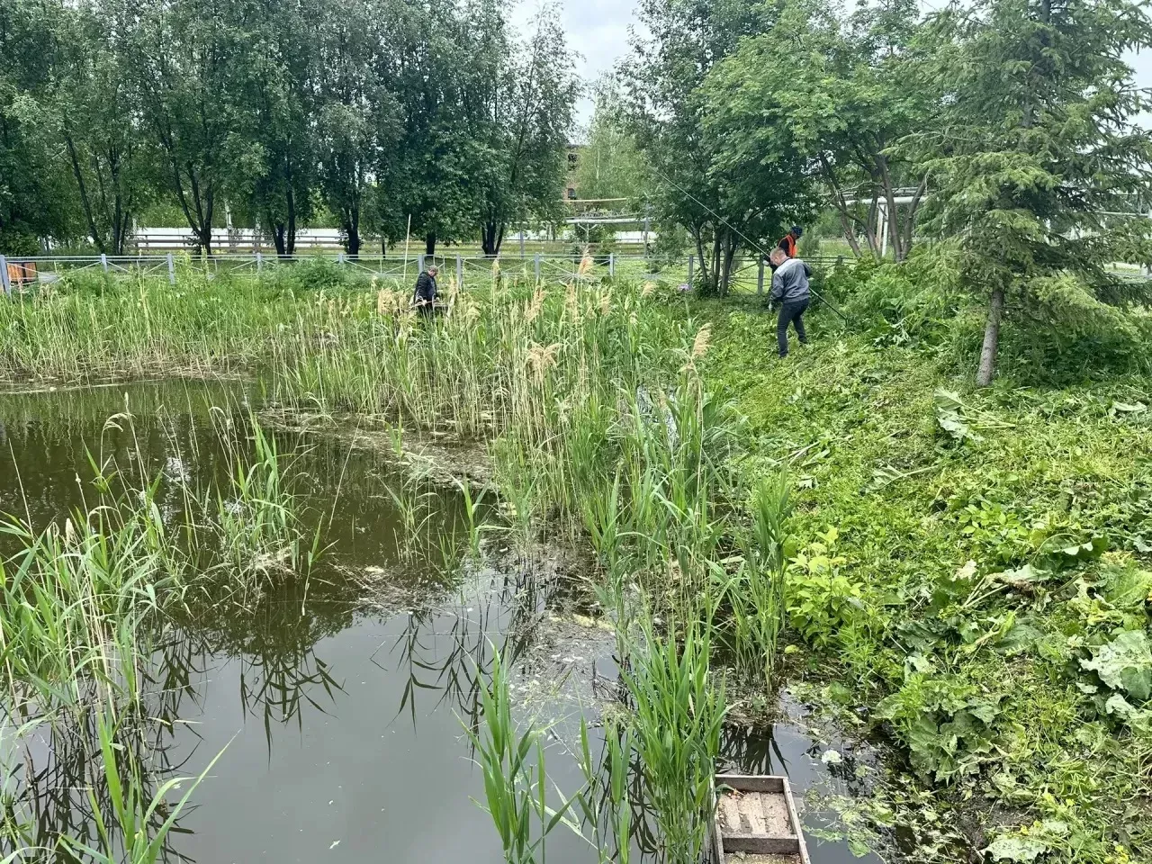 Менделеевцы навели порядок в парке «Ушковские острова» и на улице Фомина
