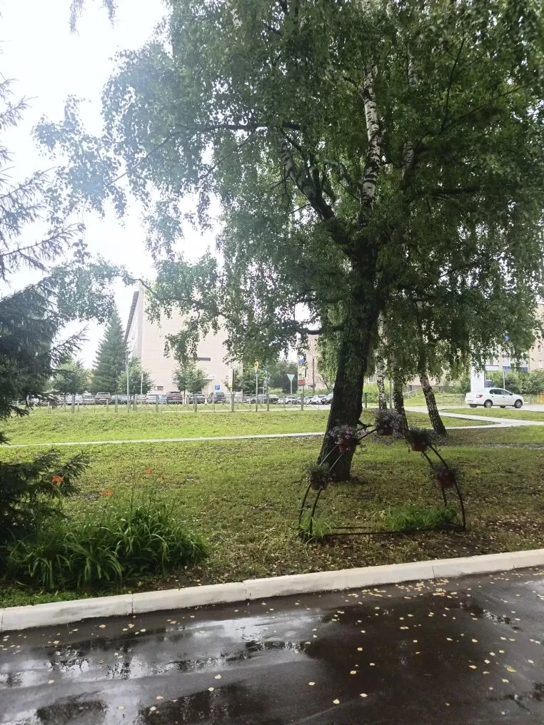 Утром ливень, днём до +26°: какая погода ждёт Менделеевск 10 июля