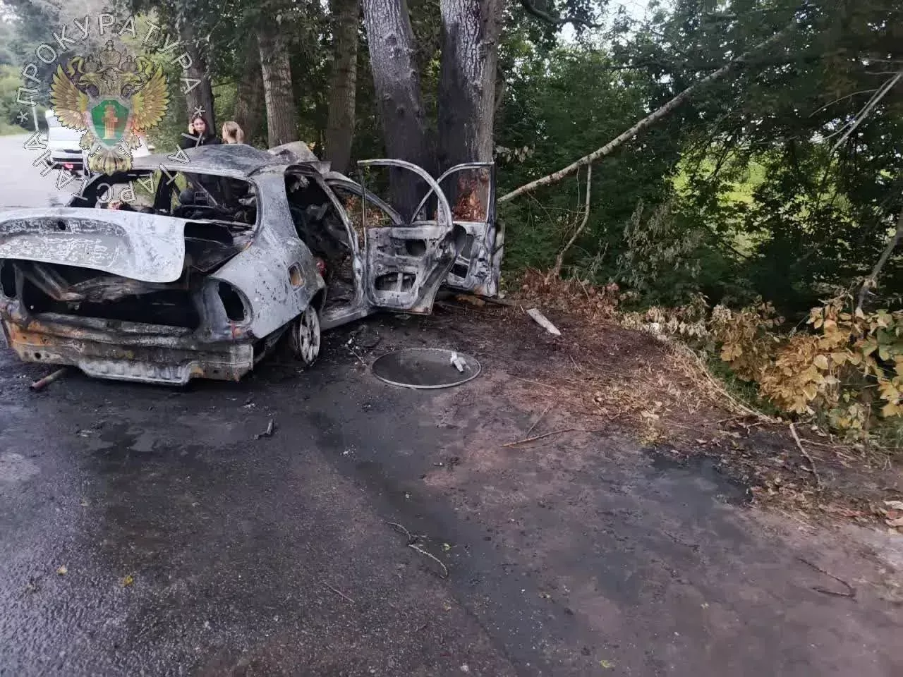 Шесть человек погибли в ДТП в Зеленодольском районе РТ