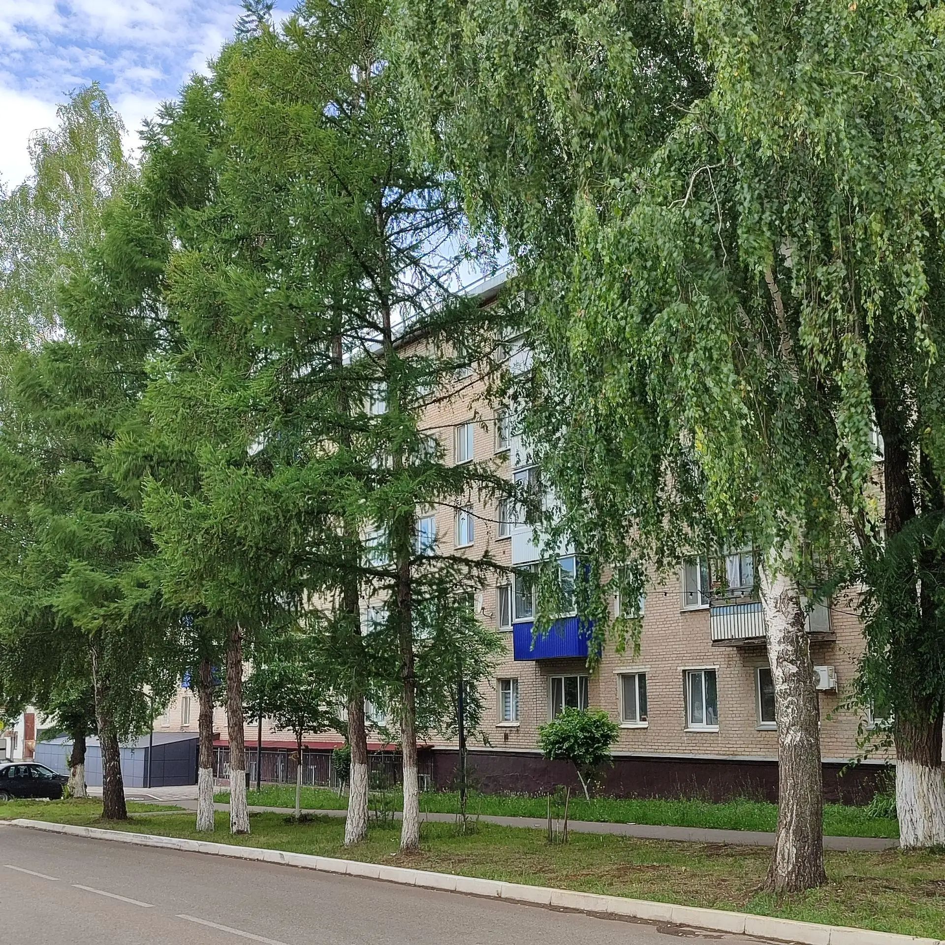 Пасмурно, но жарко: в Менделеевске 9 июля ожидается до +26°