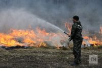 С 22 апреля по 12 мая в Татарстане запрещается разводить костры, сжигать бытовые отходы, сухую траву и мусор