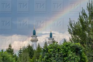 Раис Татарстана поручил обезопасить прихожан в мечетях во время священного месяца