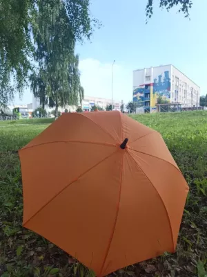 В Менделеевске ожидаются дожди и пасмурная погода 1 июля