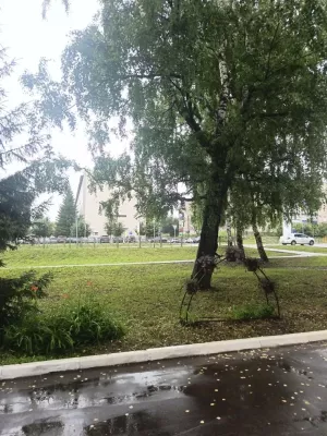 Утром ливень, днём до +26°: какая погода ждёт Менделеевск 10 июля