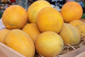 Врач рассказала, кому не рекомендуется есть дыню