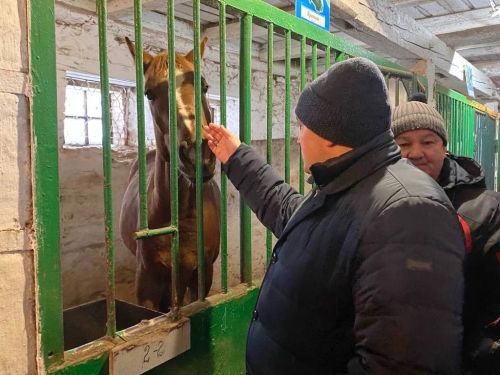 «Конно-спортивный комплекс Фаворит» готовят к капитальному ремонту