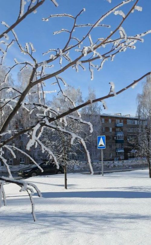 21 февраля в Менделеевске ожидаются метель и порывистый ветер