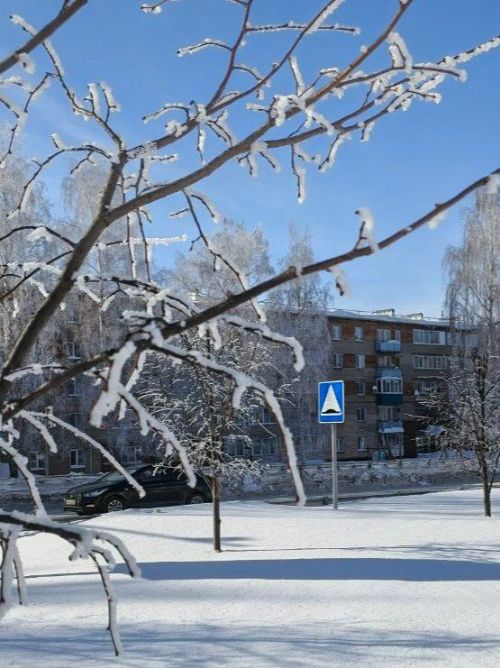 21 февраля в Менделеевске ожидаются метель и порывистый ветер