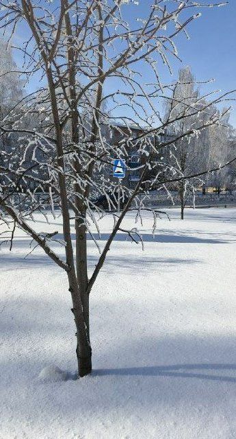 Мороз и снег: Менделеевск накроет арктическая волна 10 марта