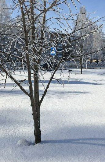 Похолодание до -22 ожидается в Татарстане к концу недели