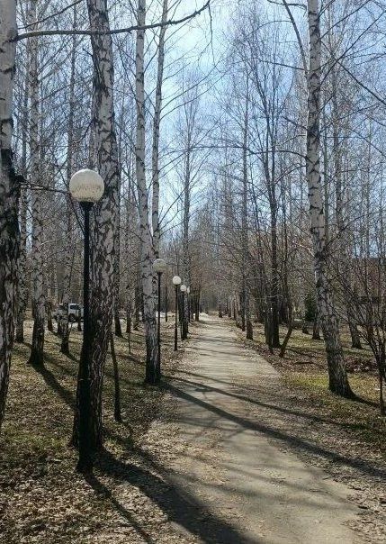Тёплый и ветреный день ожидается в Менделеевске 17 апреля