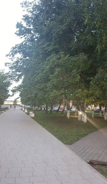 26 мая в Менделеевске ожидается +28°, возможна гроза