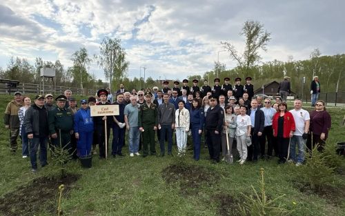 В Менделеевске высадили 81 ель в рамках акции «Сад памяти»