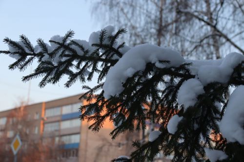 Что будет на месте бывшего роддома в Менделеевске