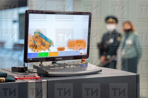 Таможня Татарстана назвала самые популярные товары параллельного импорта