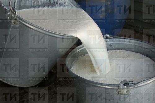 Татарстан в прошлом году увеличил экспорт молочной продукции в два раза