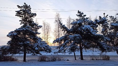 Штормовое предупреждение: усиление мороза местами до −41˚