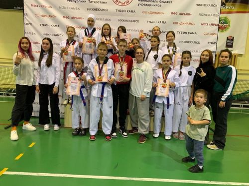 Менделеевские спортсмены заняли призовое место на Первенстве по тхэквондо