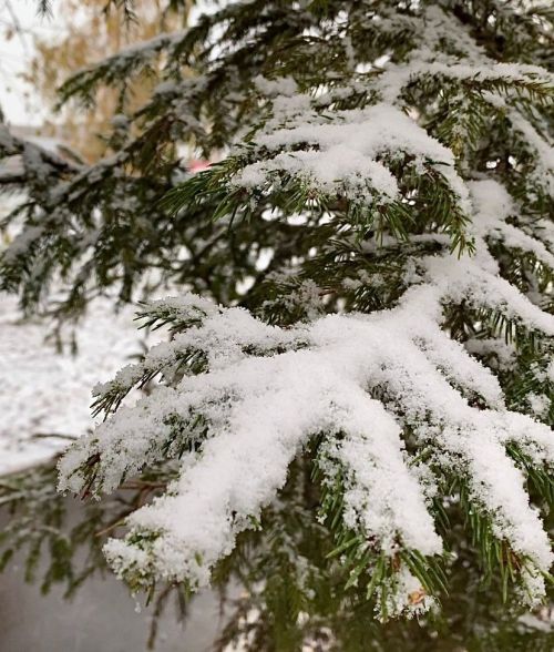 В Татарстане сегодня ожидаются дожди