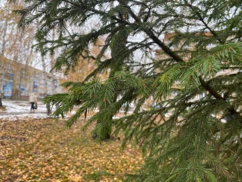 Народный календарь: сумерки года