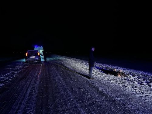 В Менделеевском районе в ДТП погибла женщина