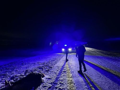 В Менделеевском районе в ДТП погибла женщина